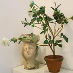 La Beccaccia By Casa Di Marco Matino