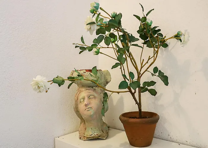 La Beccaccia By Casa Di Marco マティーノ
